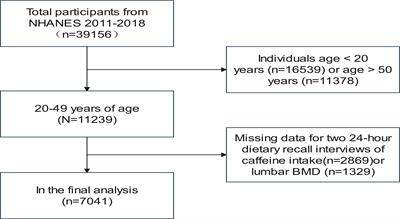 Association between caffeine intake and lumbar spine bone mineral density in adults aged 20–49: A cross-sectional study